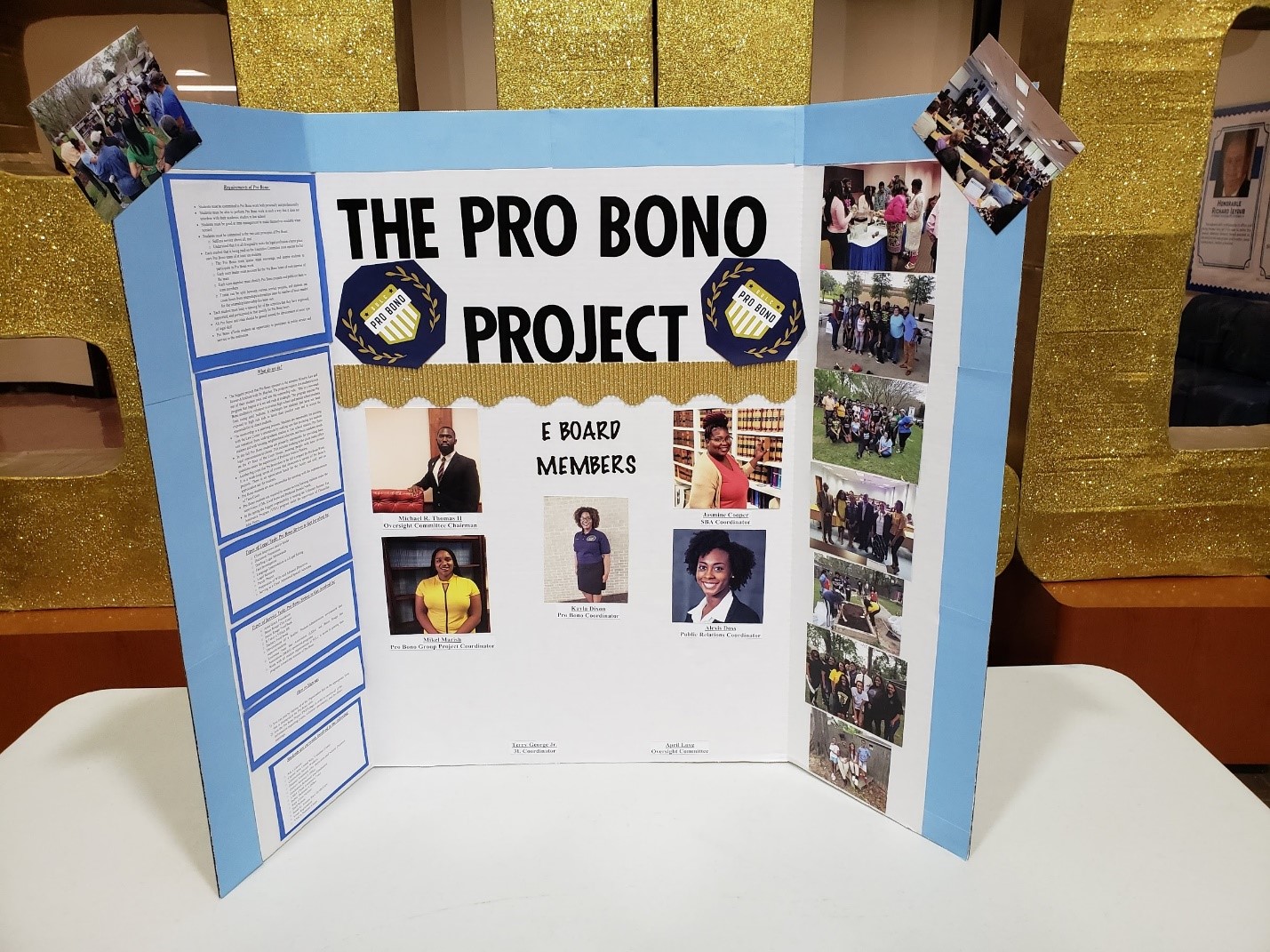 Pro Bono Project Board